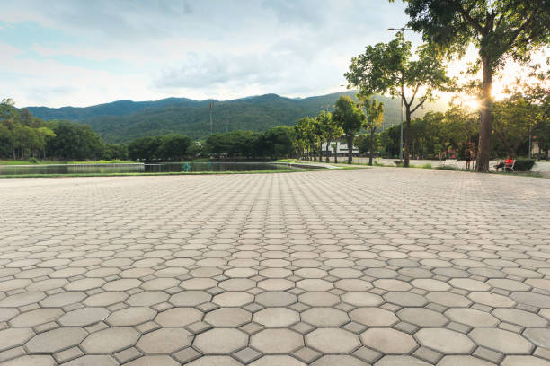Best Driveway Pavers Near Me  in Pollock Pines, CA